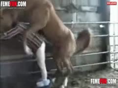 [Amateur Beastiality] Horse anal rape he making violent anal to the farmer